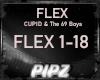 *P* Flex