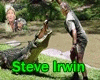 Steve Irwin 