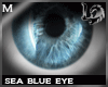 [LD]3D sea blue eyes
