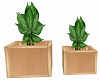 Duo Planter w/Plants