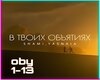 shami_v tvoix obiyatiax