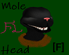 Mole Head [F]