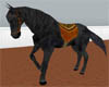 *Black Saddled Horse