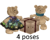 TF* Bears with 4 poses