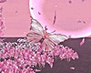 Pink Spring Photoroom