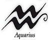 ~aquarius~zodiac sign
