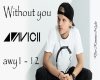 Avicii - Without you