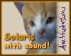 Solaris Kitty with Sound