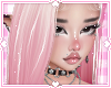 ❀. kali | bimbo