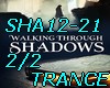 SHA12-21-SHADOWS-P2