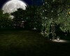 Moon Light Wedding