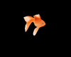 [Der] Goldfish