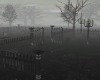 Foggy cemetery {LT}