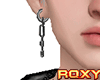 ✯Korean Earring (R)