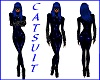 CATWOMAN ~IN BLUE