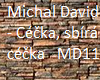 Michal David - Céčka