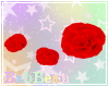 B| Leg Roses - Red