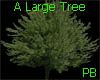 (PB)A Large Tree