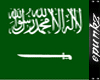[RE]saudi KSA green top