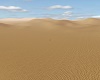 Lost In The Desert