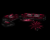 Lotos Couches...