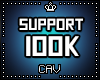 Support 100K