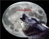 Destiny Howling Wolf