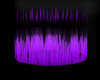 (C) Purple AuraLight