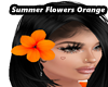 Summer Flower Orange