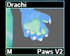 Drachi Paws M V2
