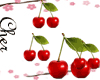 cherry animated dj effec