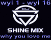 why you love me  mix