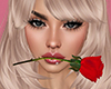 HD Valentine's Rose