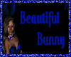 *Chee:Beautiful Bunny