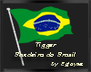 flag brasil tigger 