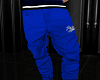 Blue_Polo_Pants