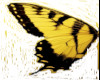 Butterfly Anim. Yellow