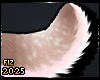 . Adore | Tail
