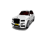 RRCM 8