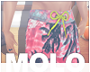 m/ Tropical Swim Shorts