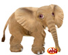 *WG* Baby Elephant Sand