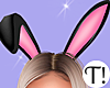 T! Pink Bunny Ears