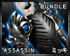 ! Silver Assassin Bundle