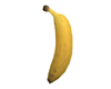 Banana   Banana!
