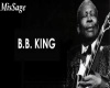 BB King Small Furnished 