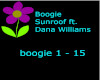Boogie - Sunroof