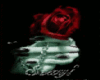 dark rose