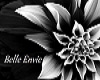Curve Basement
