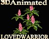 5 Animated Bromeliads 1