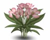 Pink Flowers